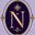 neteira es logo
